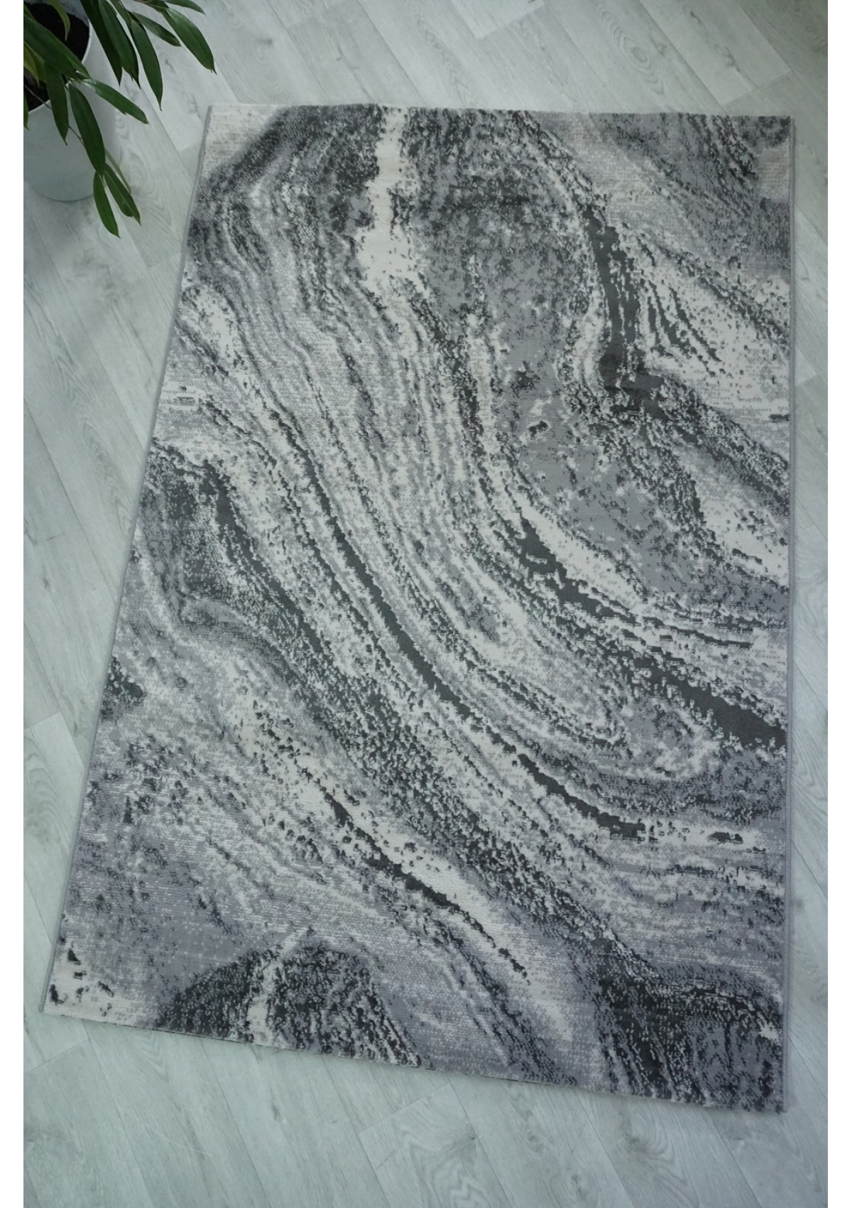 NOVARA C229B Bone/L.Grey NOVARA C229B Bone/L.Grey