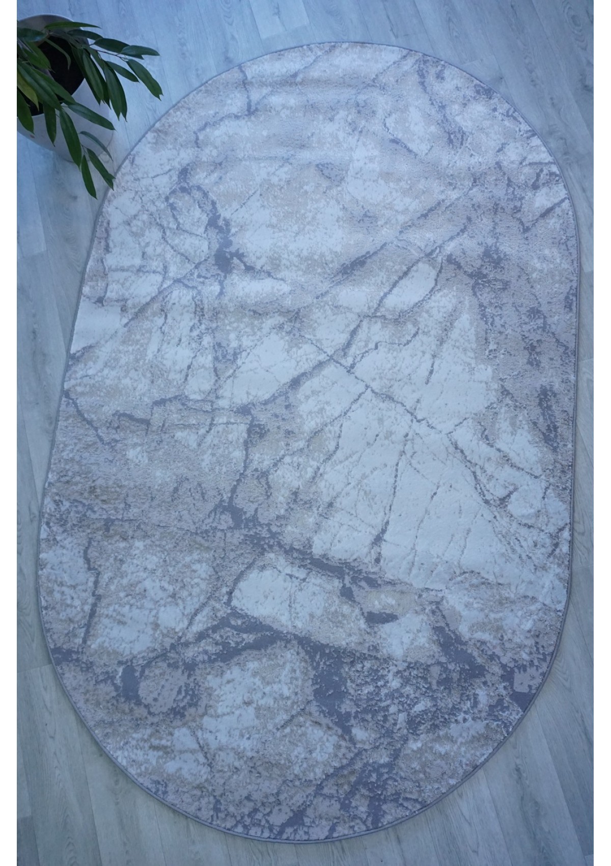 VOYAGE 2972A Grey/Cream